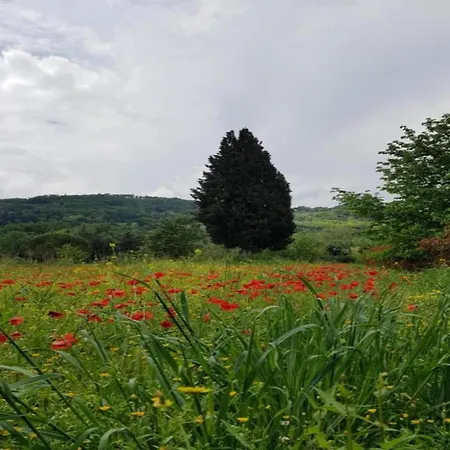 Apartman In Chianti With Shared Pool Tavarnelle Val di Pesa