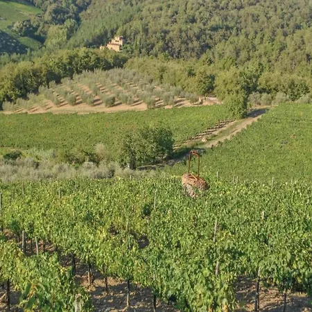 Apartman In Chianti With Shared Pool